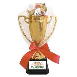 Trofeo personalizado para Estudiantes